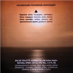 Туалетная вода мужская «Christine Lavoisier Parfums», «Giorgio Fellini Ambre Soleil», 100 мл
