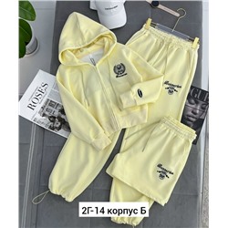 Спортивный костюм #23040727