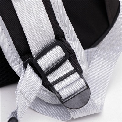 Рюкзак для переноски животных, 31×28×42 см, прозрачный, чёрный