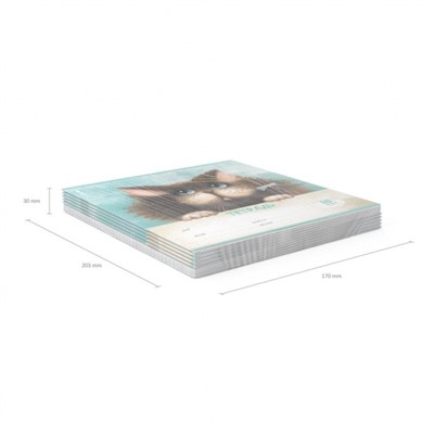 Тетрадь  18л линия "Funny Cats" 54194 ErichKrause