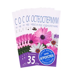 Набор семян Остеоспермума "Небо и лед", смесь, О, 5 шт.