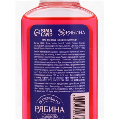 Подарочный набор новогодний «Новогодних чудес», гель для душа 2 шт.×100 мл, URAL LAB