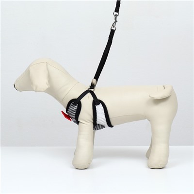 Комплект с мягкой шлейкой и бантиком, размер S, поводок 120×1.5 см, ОГ 23-42 см, серый