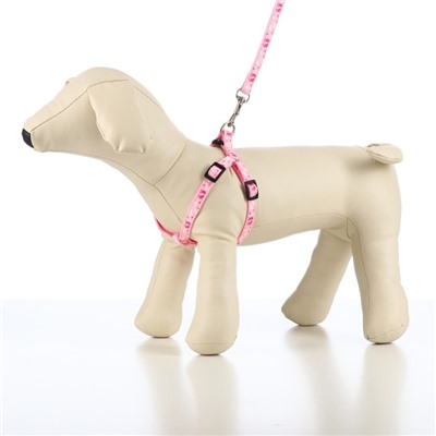 Шлейка с поводком «Цветные следы», ОГ 23-35, ширина 1 см, поводок 120 см, розовая