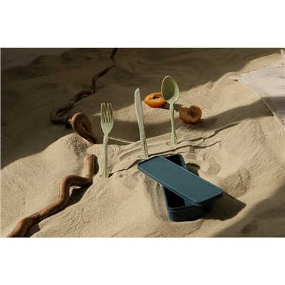 Набор столовых приборов Доляна, 4 предмета: вилка, ложка, нож, футляр синий, приборы МИКС