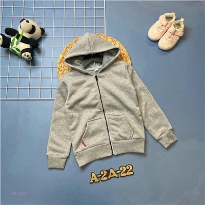 Толстовка 1981353-1