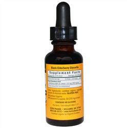 Herb Pharm, Сироп для детей из бузины черной, безалкогольный, 1 жидкая унция (30 мл)