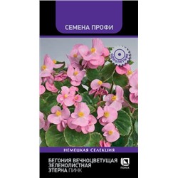 Бегония Этерна Пинк (Код: 93696)