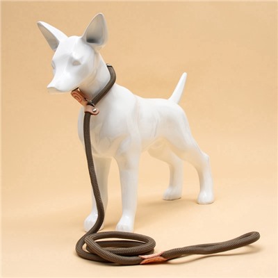 Ринговка для собак, 150×1 см, бежевая