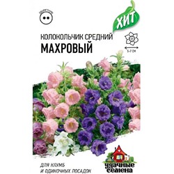 Колокольчик Махровый средний ХИТ (Код: 68294)