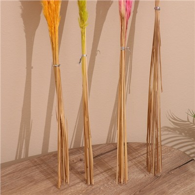 Набор сухоцветов, 80 см, 10 шт., микс