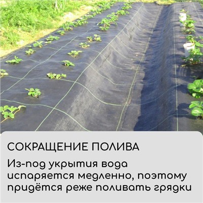 Агроткань застилочная, с разметкой, 5×3.2 м, плотность 100 г/м², полипропилен, Greengo, Эконом 50%