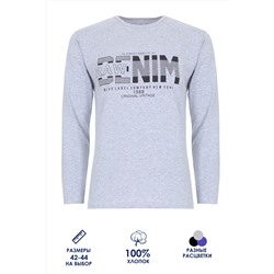 Футболка подростковая с длинным рукавом ФН171-1 Denim