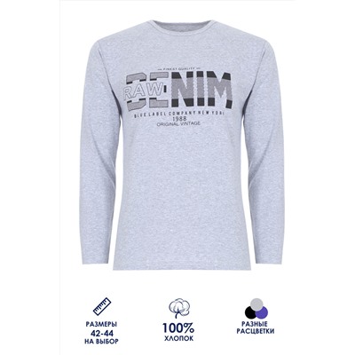 Футболка подростковая с длинным рукавом ФН171-1 Denim