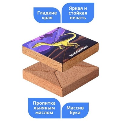 Магнитная головоломка по системе раннего развития «Компсогнат»
