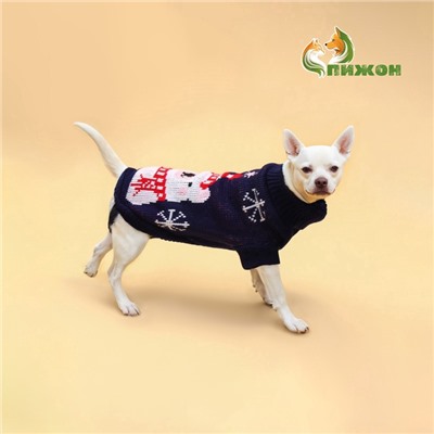 Свитер для животных, размер 8 (ДС 20-23, ОГ 25-32, ОШ 16-19 см), синий