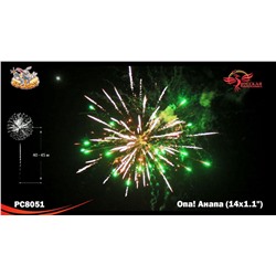 Фейерверк РС8051 Опа! Анапа! (1,1" х 14)