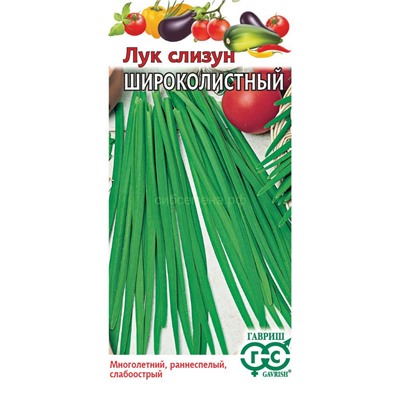 Лук  слизун Широколистный (Гавр)