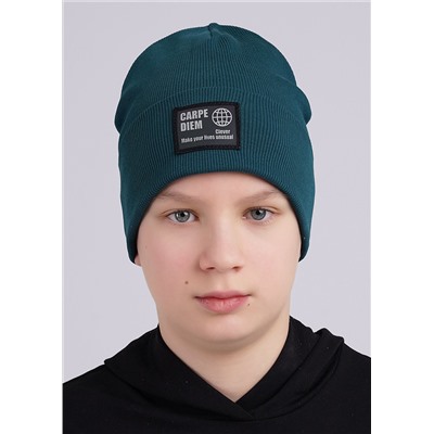 494989 CLEVER Шапка