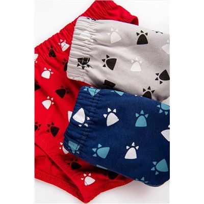 Трусы для мальчика Happyfox HF41613