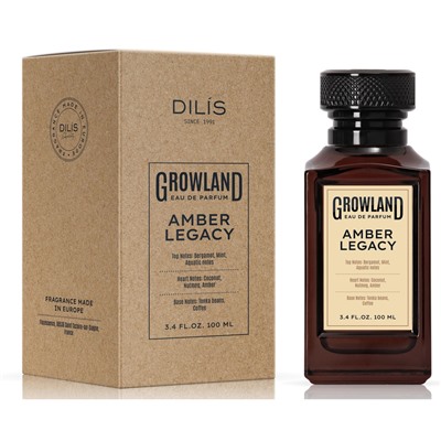 Парфюмерная вода мужская  Amber Legacy 100мл