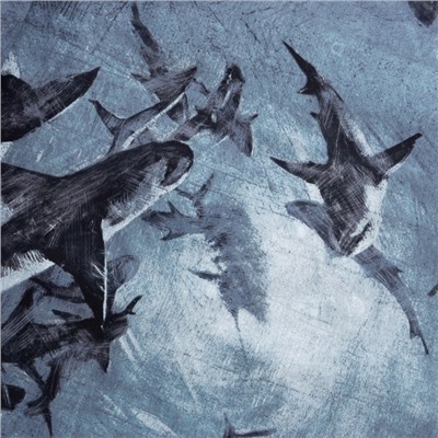 Постельное бельё 1.5-спальное «Этель» Shark, бязь