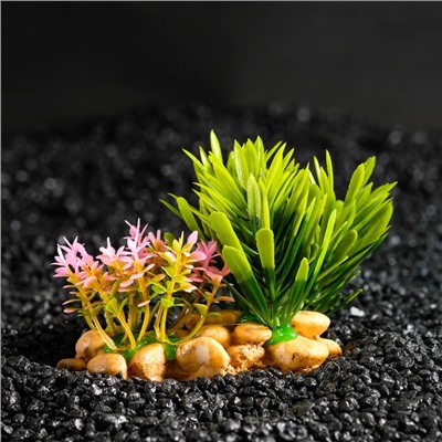 Растение искусственное аквариумное, на подставке под камень, 14×11×7 см