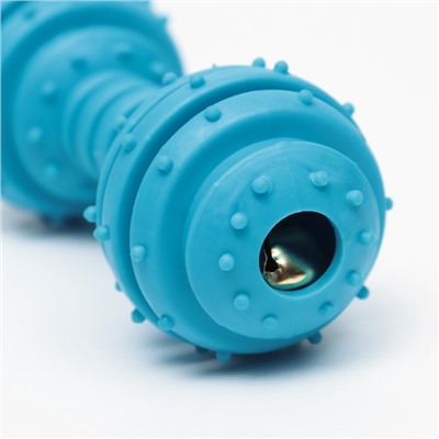 Игрушка жевательная «Чемпион», TPR, 12.5 см, голубая