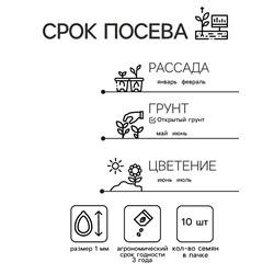 Семена Цветов Бегония крупноцветковая «Камелия», красная, 10 шт., «Дом семян»