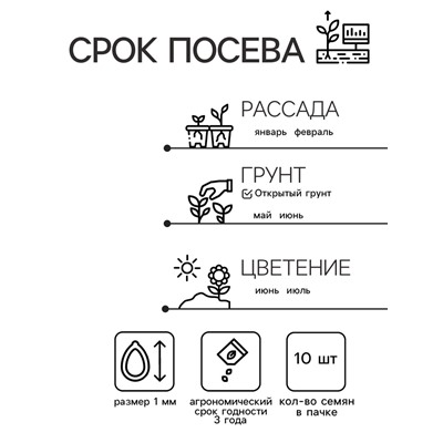 Семена Цветов Бегония крупноцветковая «Камелия», красная, 10 шт., «Дом семян»