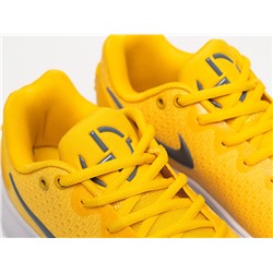 Кроссовки Nike Hyperdunk 2017 Low