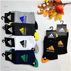 Носки мужские 10 пар 2056948-1