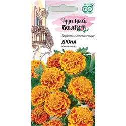 Бархатцы Дюна Гавриш