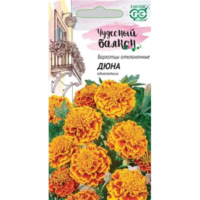 Бархатцы Дюна Гавриш