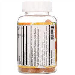 Zand, Orange C Gummies, Acerola & Rose Hips, Immune Boost, 60 Gummies