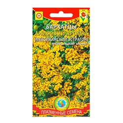 Семена Бархатцы «Анисовый аромат», 3 г