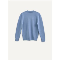 Джемперы ESLI Джемпер для мальчика 24С-14СП