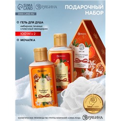 Подарочный набор новогодний: гель для душа 2 шт. × 100 мл, мочалка для тела, аромат мандарин и тыква, URAL LAB