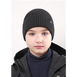 CLEVER Шапка