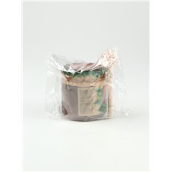 Мёд с мумиё «Здоровье в каждой ложке», новогодний подарок