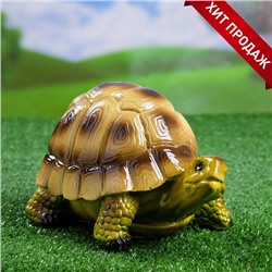 Садовая фигура из гипса «Черепаха Пашка», 21×14×13 см, МИКС