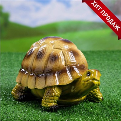 Садовая фигура из гипса «Черепаха Пашка», 21×14×13 см, МИКС
