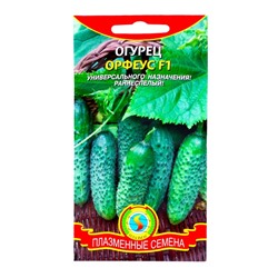 Семена Огурец "Орфеус", F1, 10 шт