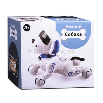 Собака "КиберЛап" в коробке