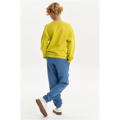 Толстовка для мальчиков PELICAN, 1236461