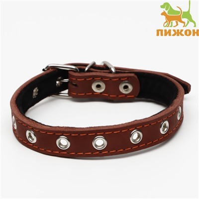 Ошейник кожаный на синтепоне, безразмерный, 45×2 см, ОШ 18-39 см, коричневый