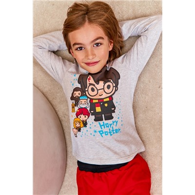Пижама д/мал(фуфайка дл/рук, брюки) Juno AW21BJ627 Гарри Поттер красный/серый меланж