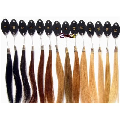 Remy Каталог натуральных волос 4949