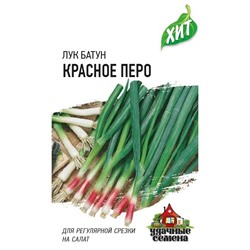 Лук на зелень Красное Перо ХИТ (Код: 81106)
