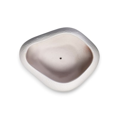 Горшок для кактусов и суккулентов «Бонсай», 2.5 л, 28×24×11 см, керамический, с поддоном, белый